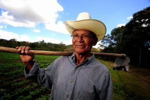 Direitos trabalhistas do trabalhador rural