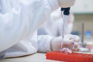 Lei de Biotecnologia