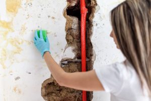 Vícios ocultos no imóvel